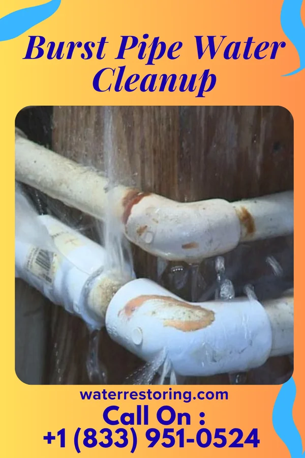Burst Pipe Water Cleanup in Fort Peck, MT