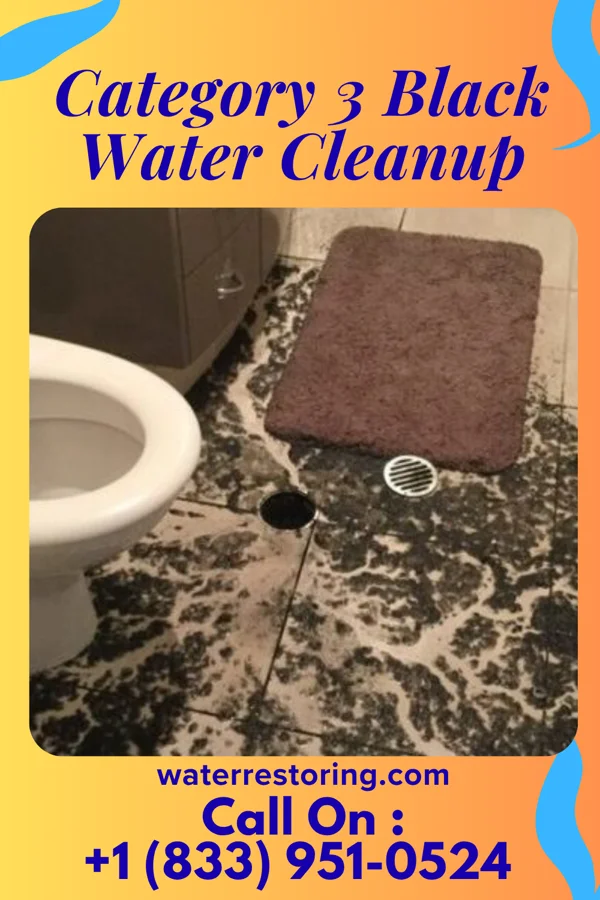 Category 3 Black Water Cleanup in Fort Peck, MT