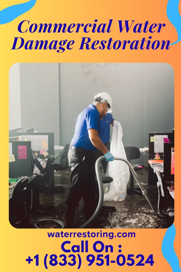 Commercial Water Damage Restoration in Fort Peck, MT