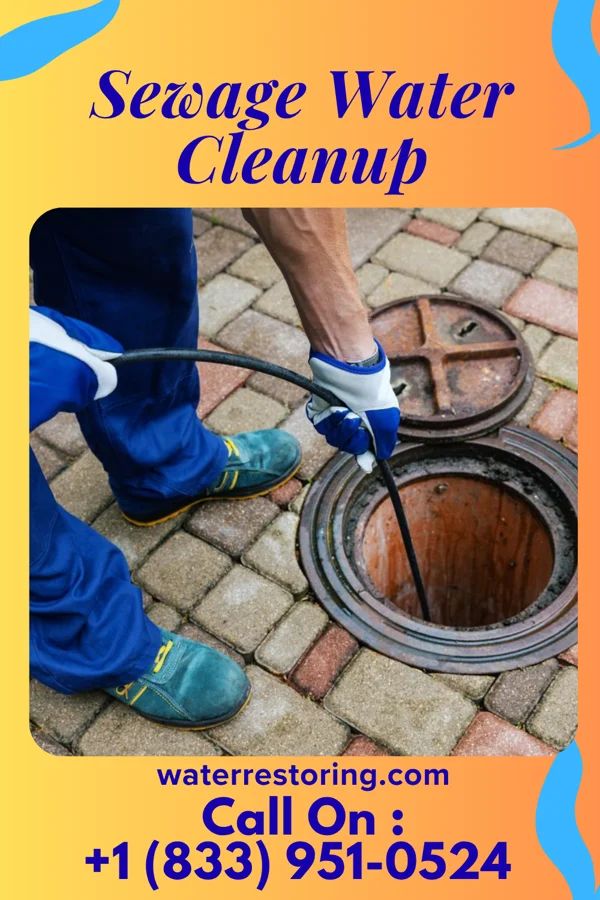 Sewage Water Cleanup in Fort Peck, MT